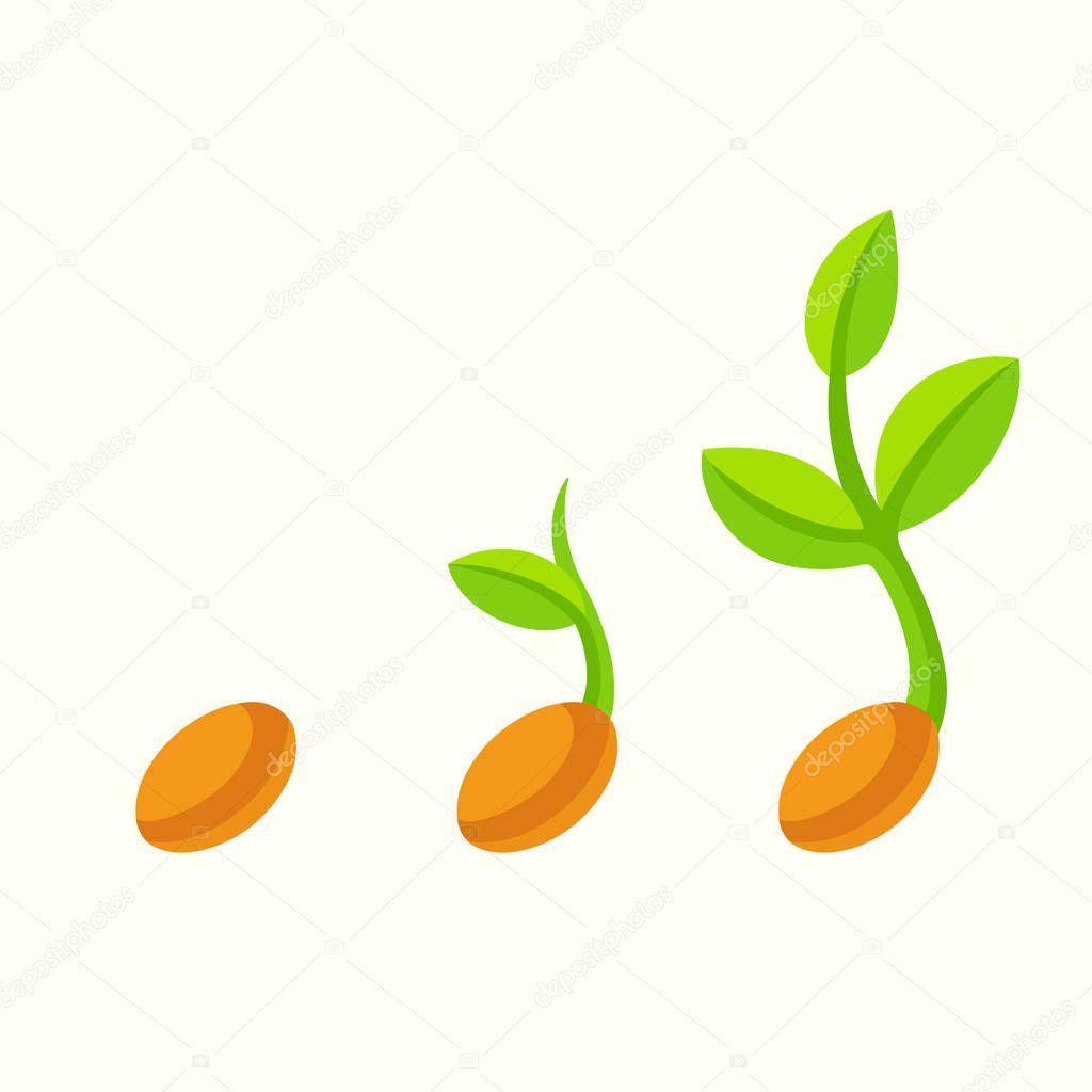 Sprouting Seed Cartoon Illustration Plant Seedling Different Stages