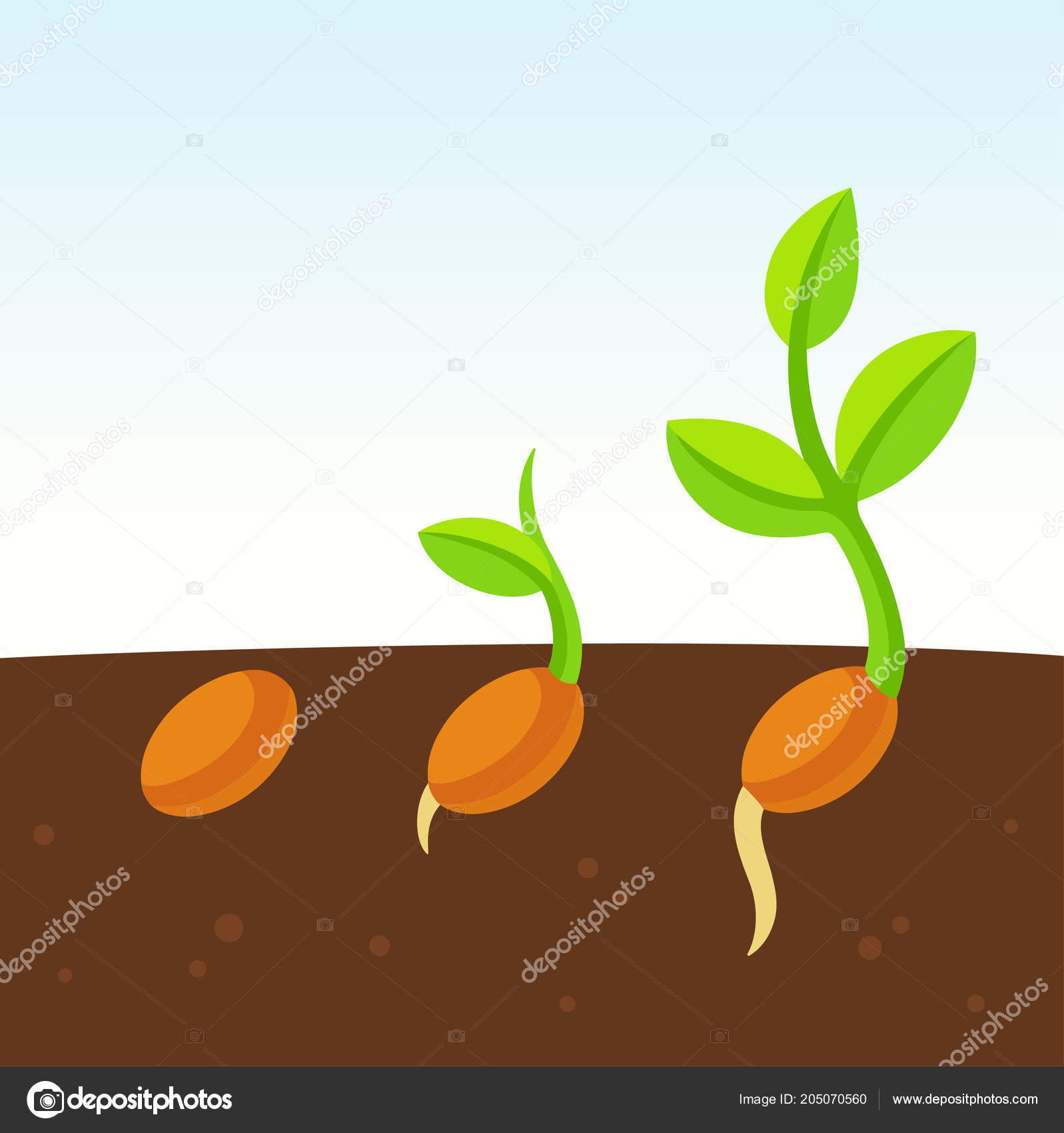 Little Growing Plant Cartoon Illustration Seed Sprouting Ground Vector Clip  Stock Vector by ©Sudowoodo 205070560
