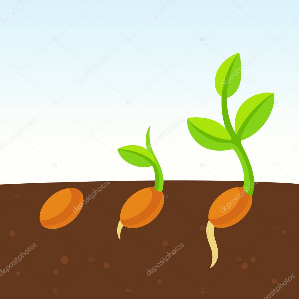 Little growing plant cartoon illustration. Seed sprouting from the ground. Vector clip art drawing.