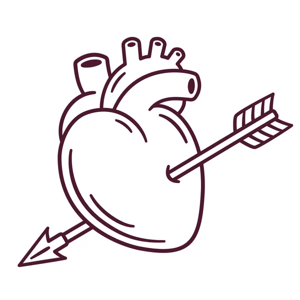 Realistic Anatomic Heart Arrow Vintage Retro Style Drawing Cartoon Valentines — Stock Vector