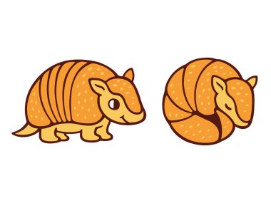 Sevimli çizgi armadillo çizim, ayakta ve rulo bir top. İzole vektör çizim.