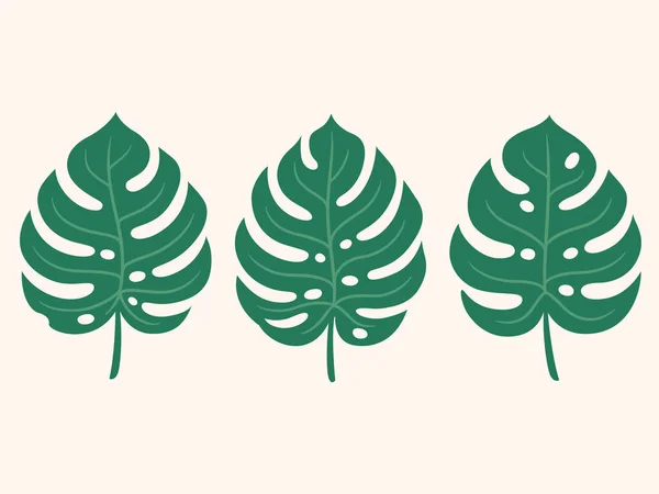 몬스타 나뭇잎 그림 — 스톡 벡터