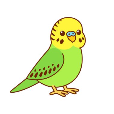 Cute cartoon budgie clipart