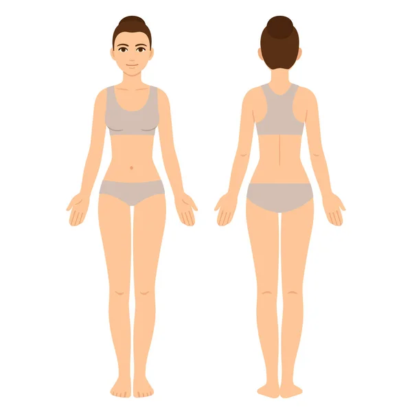 Corpo feminino frente e costas —  Vetores de Stock