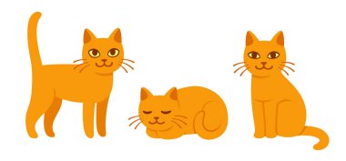 Karikatür kedi seti