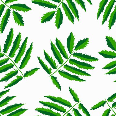 Graffiti Dikişsiz desen renkli yaprak