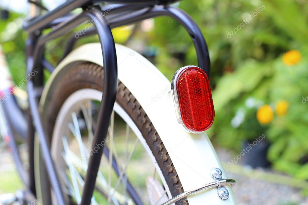 Ruby on the back of the bike.