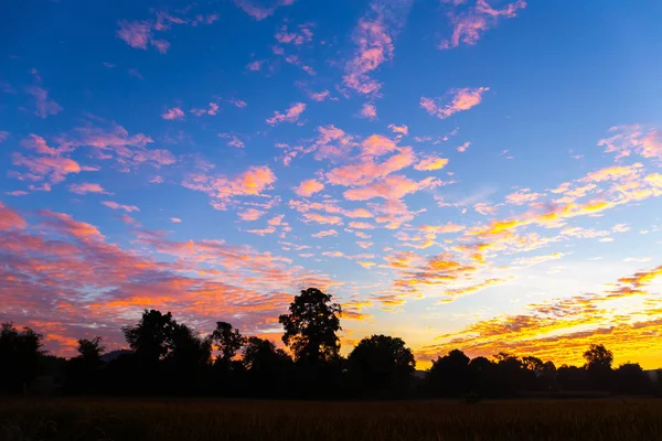 Nebeská Rýžová Pole Během Západu Slunce — Stock fotografie