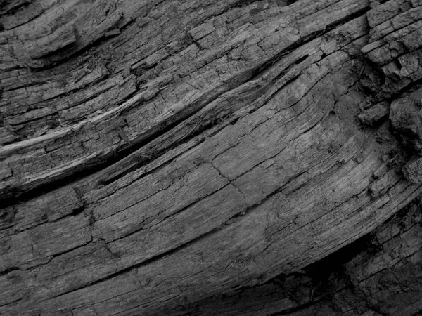 Old Wood Texture Dark Wooden Background — Stock Photo, Image