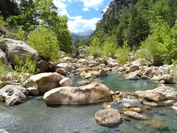 Mountain Stream Clear Water Small River Pure Tasty Icy Water Stock Picture