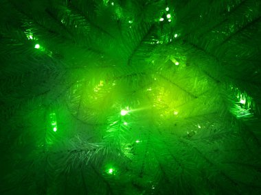 Çelenk ile vurgulanan yeşil Noel ağacı.                              