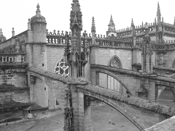 Telhados Catedral Catedral Sevill — Fotografia de Stock