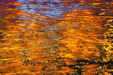 suyun ışığında yansıması