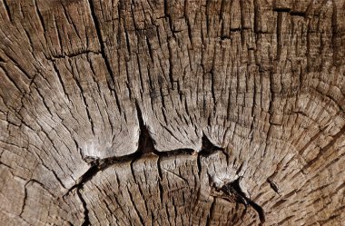 Ahşap dokulu veya arka plan