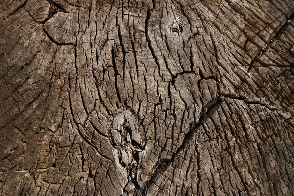 Oude grunge donkere textuur houten achtergrond — Stockfoto
