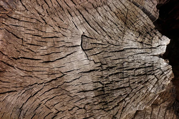 Текстура темно-коричневого дерева — стокове фото