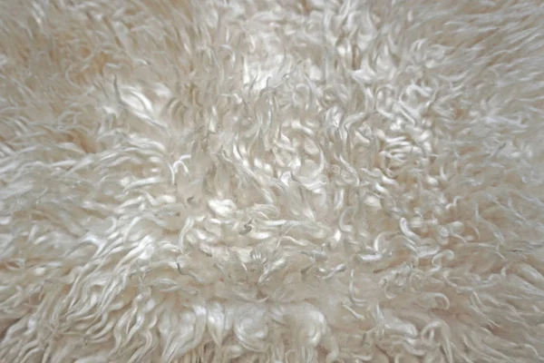 Fundo textura lã branca — Fotografia de Stock