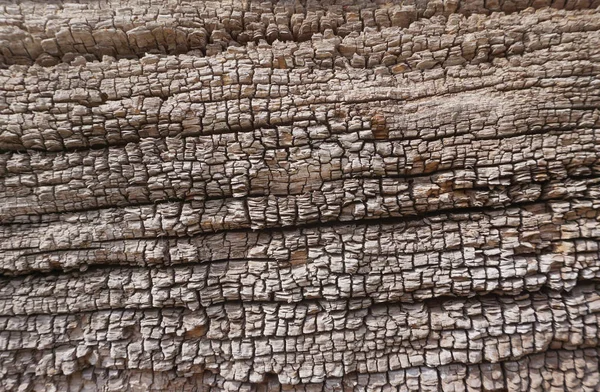 Nahaufnahme Holz Textur — Stockfoto