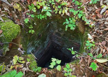 Ormandaki küçük mağara..