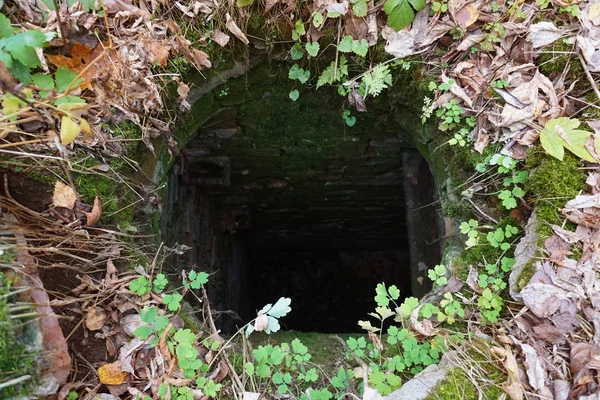 Kleine Höhle im Wald — Stockfoto