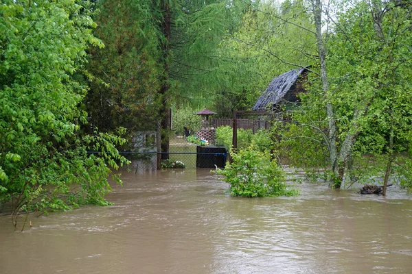 Затопляющие Дома Растущей Водой Лесу — стоковое фото
