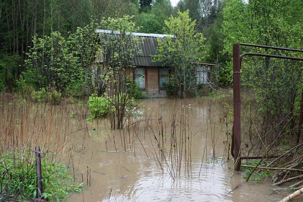 Overstromingshuizen Met Opstijgend Water Het Bos — Stockfoto