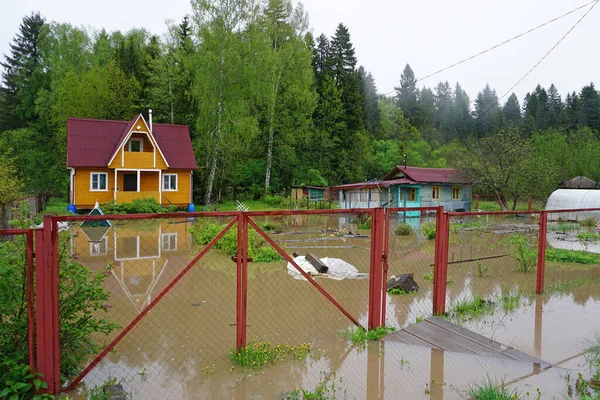 Inondation Des Maisons Avec Eau Montante Dans Forêt — Photo