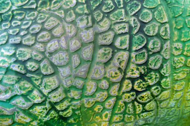 Dinozorların cilt modelini yeşil tonlarda kapat                               