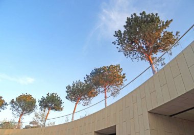 Erken bahar parkı. Şehir parkında günbatımı.                               