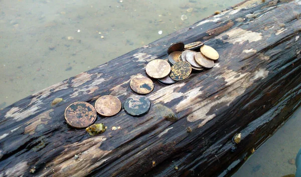 Oude Munten Achtergrond Van Oude Houten Plank Het Strand — Stockfoto