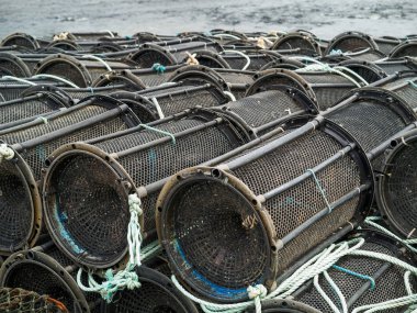Siyah boş balık ve yengeç kapanları kıyıya, arka planda su. Balıkçılık endüstrisi.