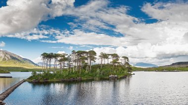 Connemara milli parkı Pine adası, Güneşli sıcak gün, County Galway, İrlanda. Bulutlu dramatik gökyüzü. Dikey görüntü.