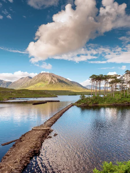Connemara milli parkı Pine adası, Güneşli sıcak gün, County Galway, İrlanda. Bulutlu dramatik gökyüzü. Dikey görüntü.