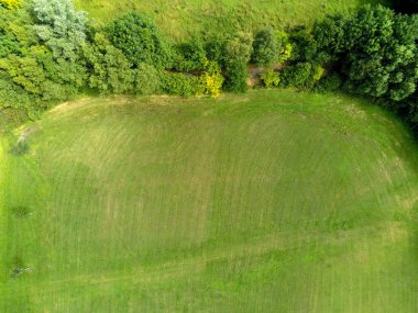 Taze kesilmiş kaba, havadan üst görünümü ile Alan.