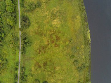 Nehir havaüstü görünümü. Su yüzeyi ve yeşil bitki örtüsü.