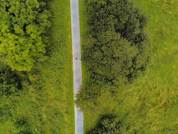 Person walking in a park, Aerial top view.