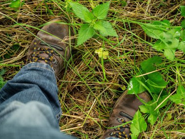Yapraklar, çimenler ve kot pantolonlar arasında orman zemininde eski yıpranmış botlar. Yakından kapatın. Konsept: gezgin, turist, macera, deneyim.