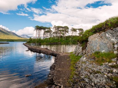 Small path to the Pine island, Connemara National park, Ireland. Blue bright cloudy sky.