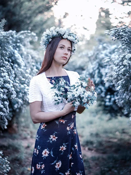 Bella ragazza sullo sfondo di un albero fiorito — Foto Stock