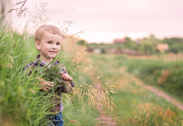 Портрет счастливого маленького мальчика в парке — стоковое фото