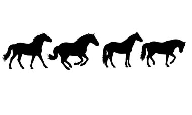 Siluet at duruşu beyaz arkaplan üzerinde siyah şekil mono ton rengi