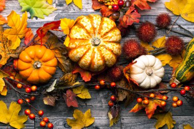 Ahşap arka plan üzerinde renkli kabaklar ile Halloween kart şablonu 