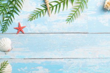 Yapraklar, eski ahşap arka planda deniz kabukları