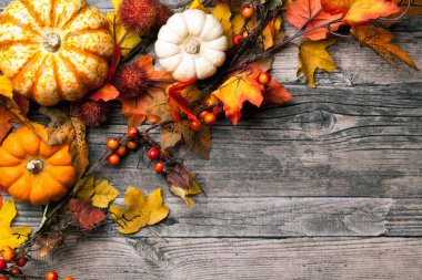 Ahşap arka plan üzerinde renkli kabaklar ile Halloween kart şablonu 