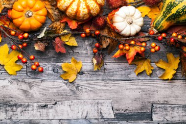 Ahşap arka plan üzerinde renkli kabaklar ile Halloween kart şablonu 