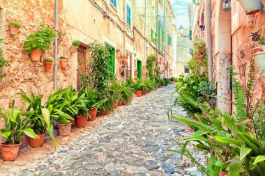 Mallorca, İspanya 'da konforlu küçük evler ve zengin bitkiler.