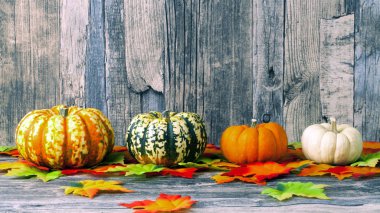 Renkli kabaklar ile Cadılar Bayramı kartı şablonu 