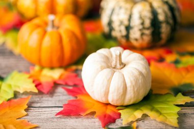 Renkli kabaklar ile Cadılar Bayramı kartı şablonu 