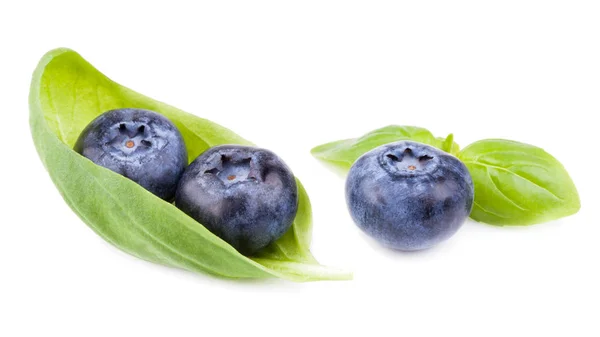 Blueberry Dengan Daun Terisolasi Atas Putih — Stok Foto