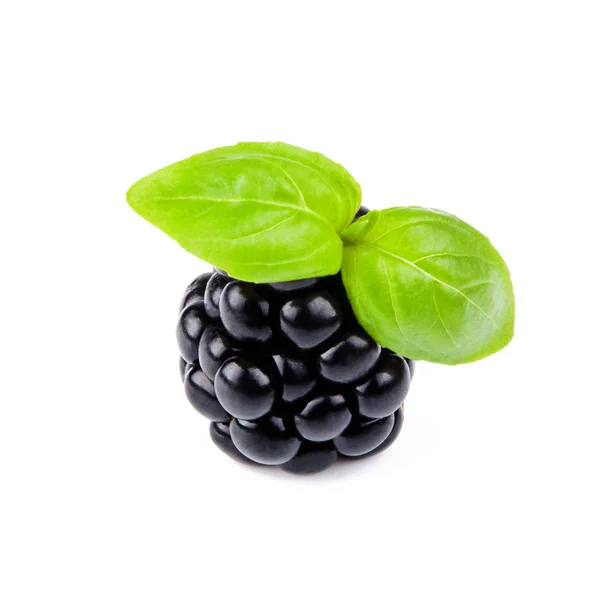 Blackberry Met Bladeren Geïsoleerd Wit — Stockfoto